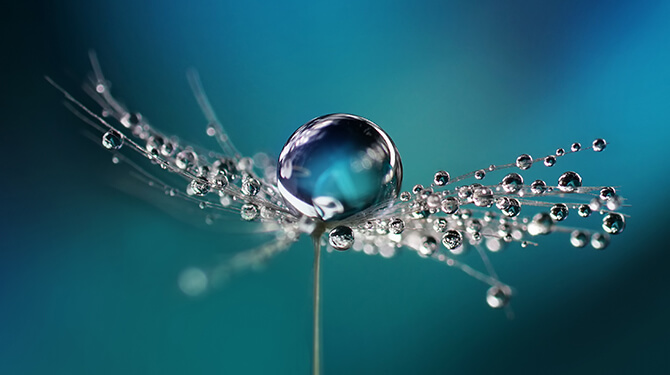 2020 Water saving campaign