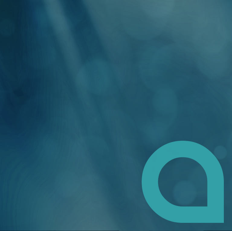 Enterprise Risk Management Gruppo Acea