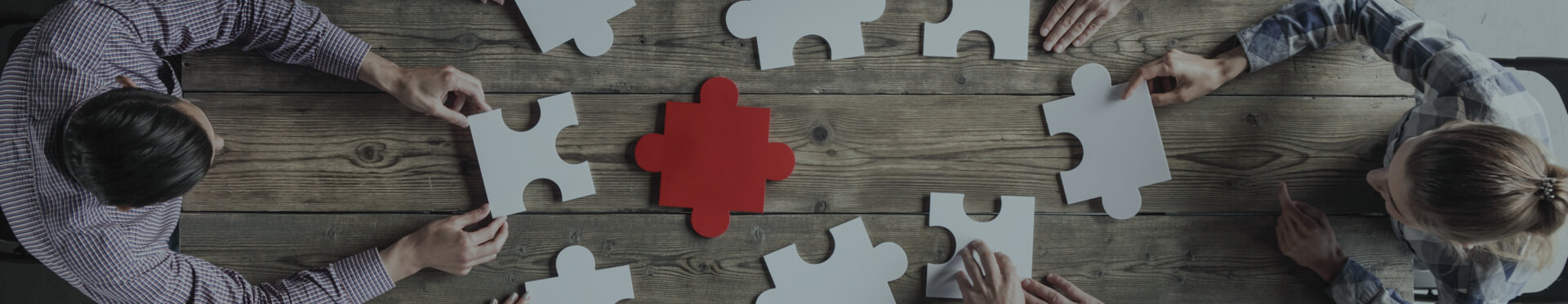 The 231 organisational model of the Acea Group