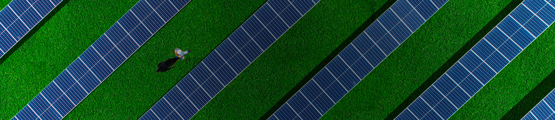 Informativa climatica TCFD