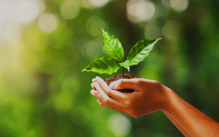Economia circolare e futuro sostenibile