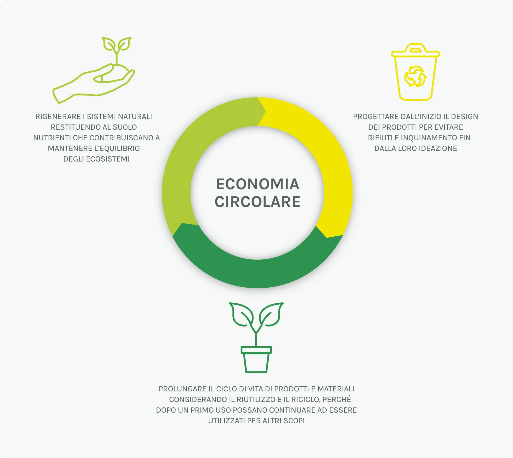 Infografica sull'economia circolare