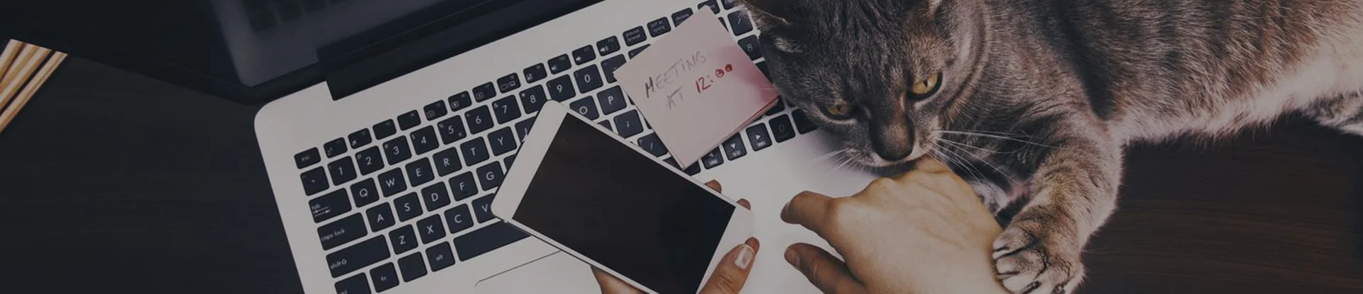 Smart working nel Gruppo Acea: il lavoro agile