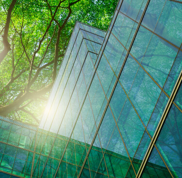 Transizione ecologica