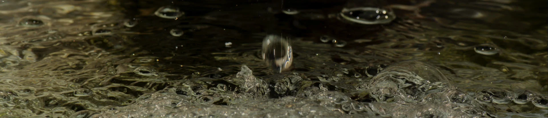 Acea and the water cycle