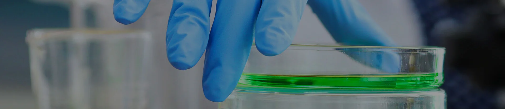 Il progetto P2Me per produrre nuova materia dalla plastica