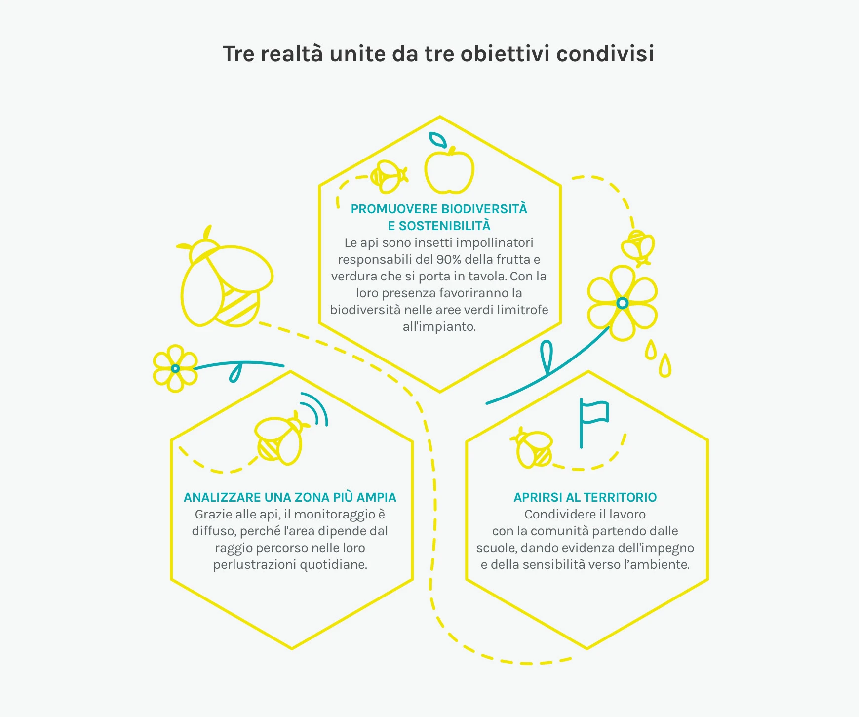 Infografica su realtà e obiettivi condivisi del progetto di biomonitoraggio
