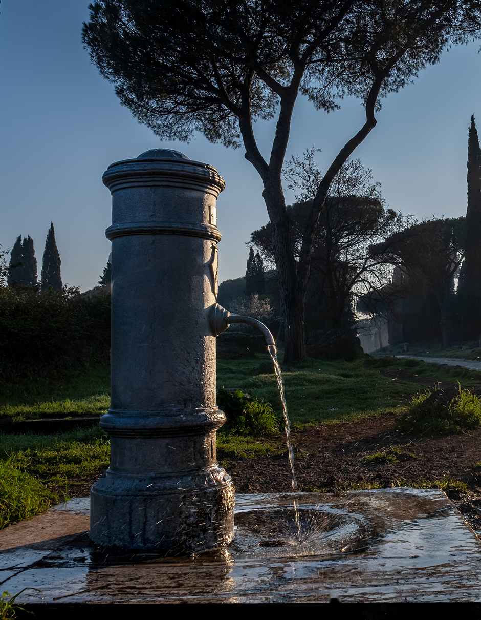 Nasone romano