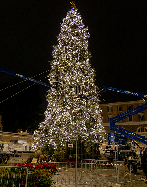 Foto della fase di illuminazione dell'albero di natale
