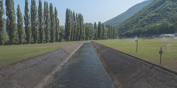 Canale d'acqua fiancheggiato da alberi con montagna sullo sfondo