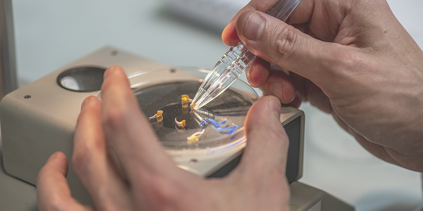 Mani che lavorano su circuiti elettronici con pipetta di precisione